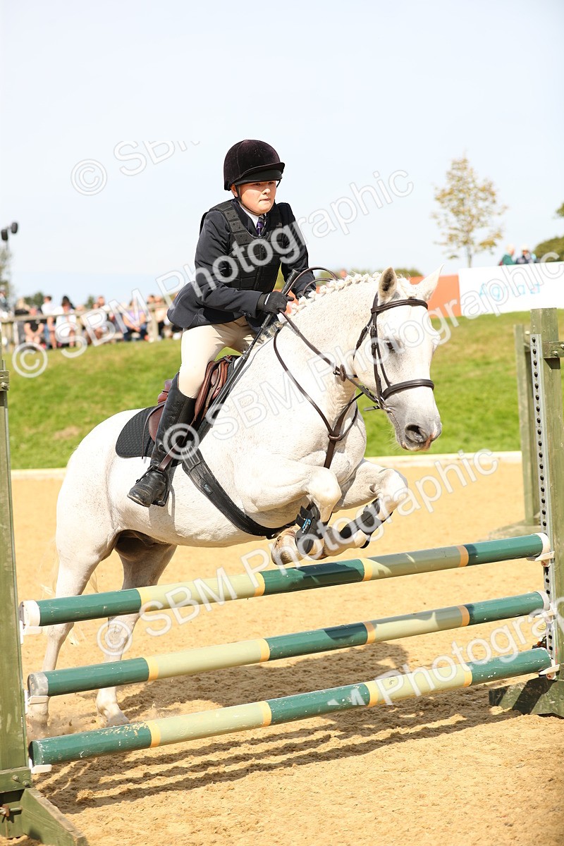 SBM_67346 - J17 - Junior Pony 80cm Championship