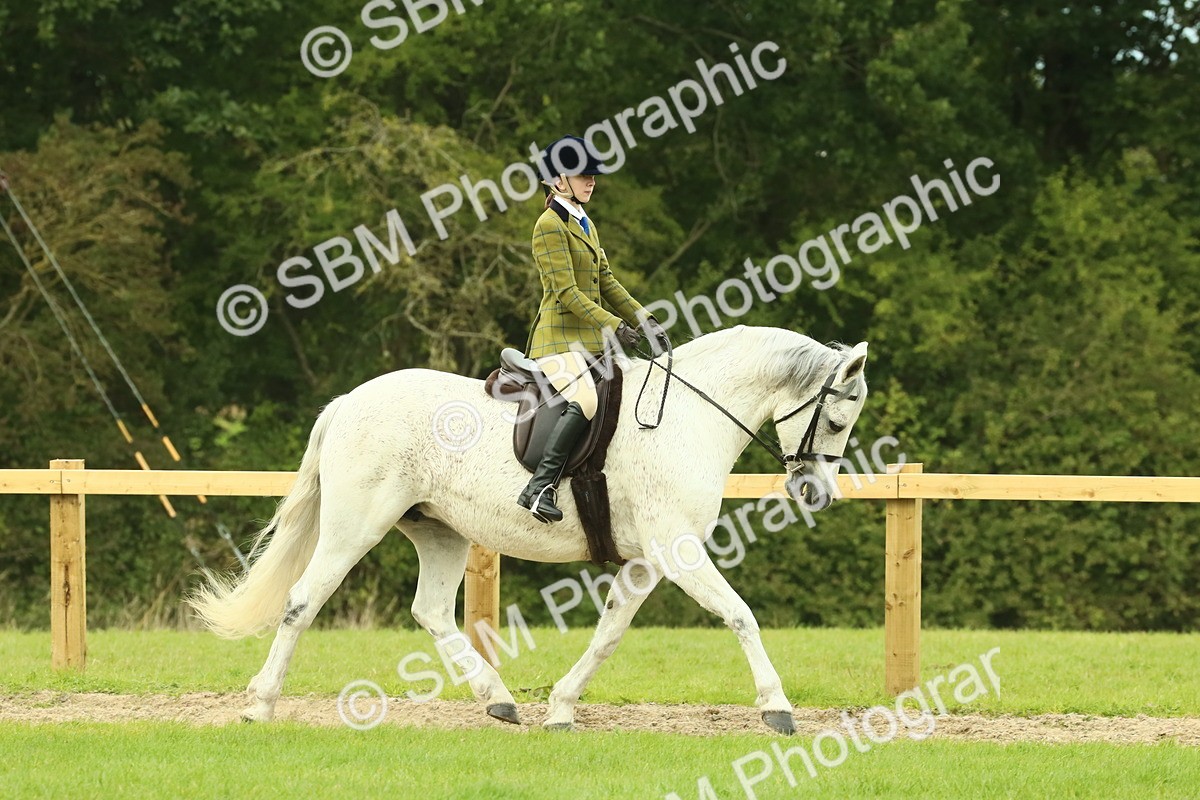 SBM_71863 - S60 - Mountain & Moorland Ridden Large Breeds
