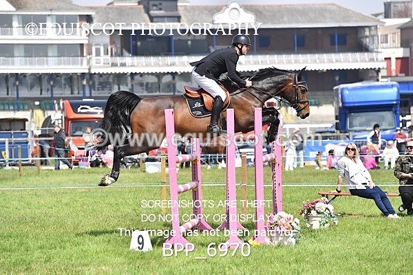 BPP_6970 - CLASS 3 RHS Fox Champ Qual (1.20m)