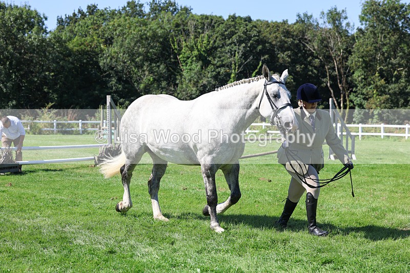 3E7A8483 - Class 4: Novice working Hunter
