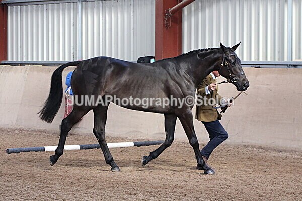 SIAL9289 - Indoor Classes