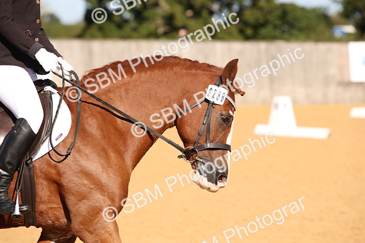 SBM_01915 - D2 Small Tour Championship Intro C