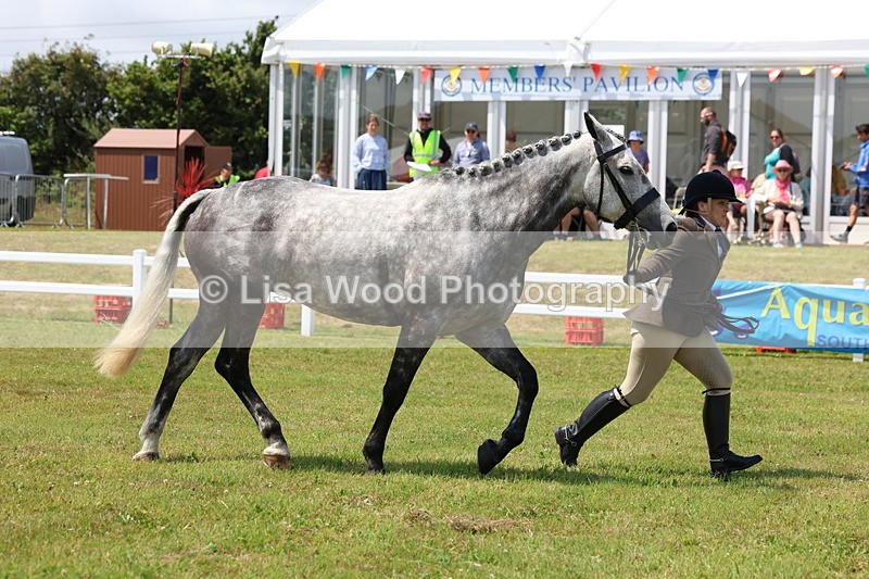 3E7A1681 - Class 9: Open Hunter