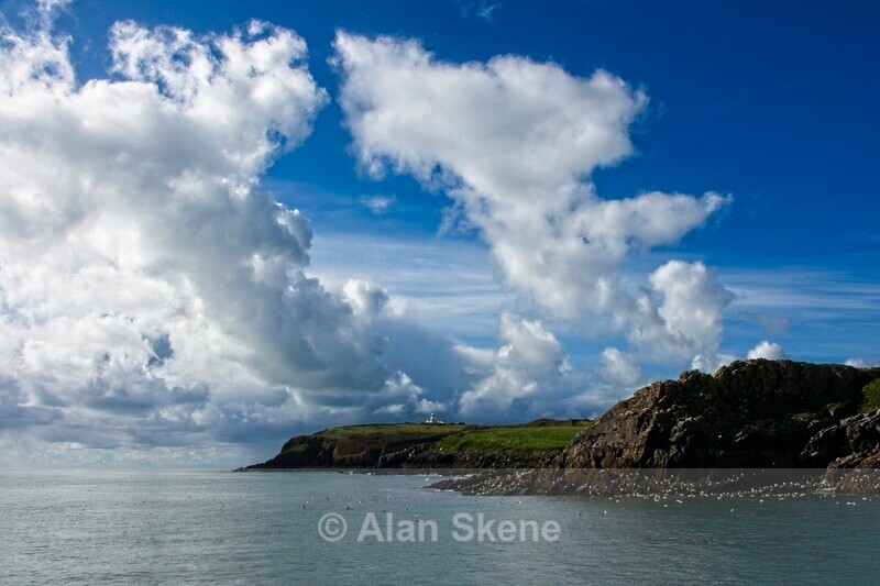 DSC06196 - Pembrokeshire Wales