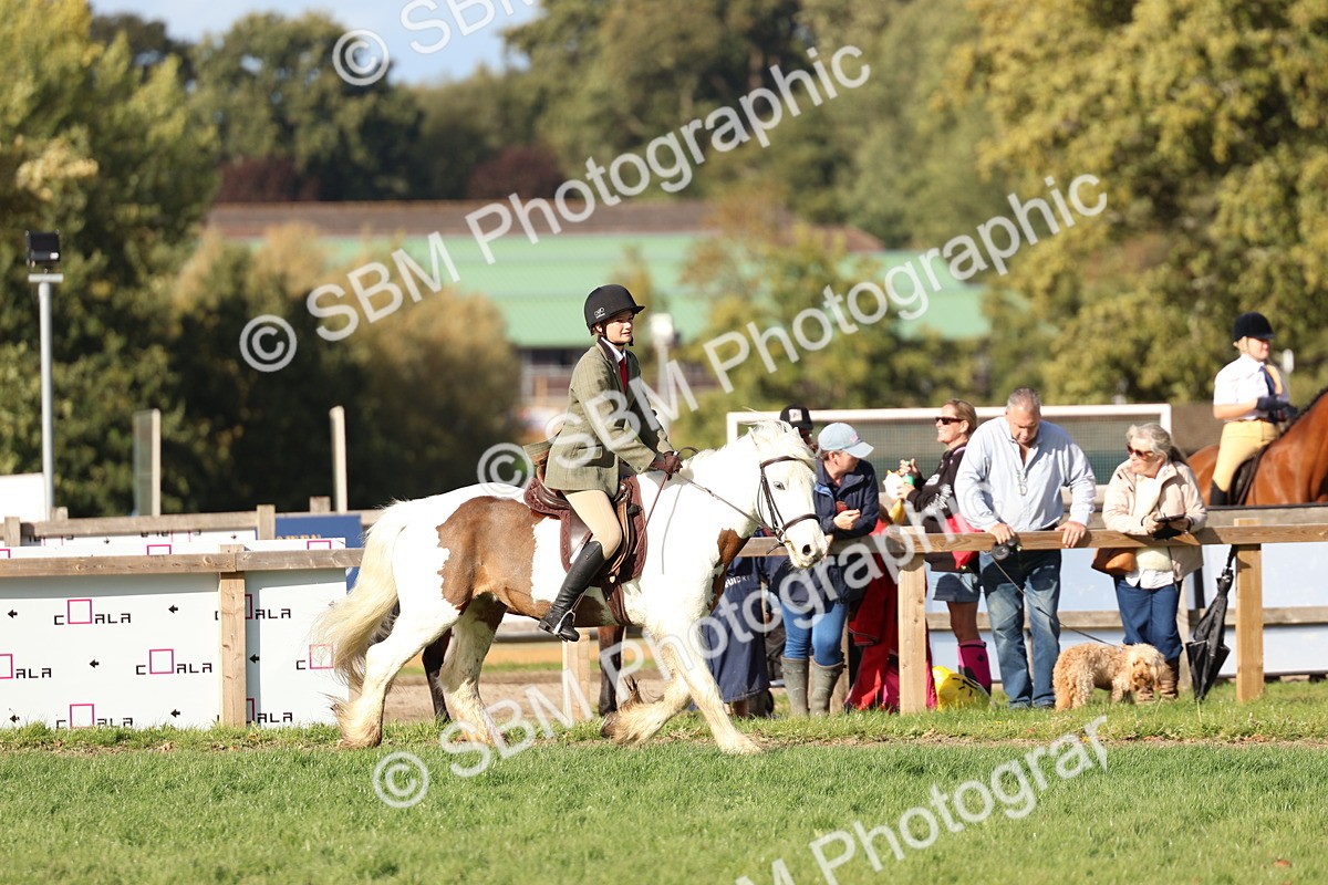 SBM_52473 - S13 - Pony Club Pony