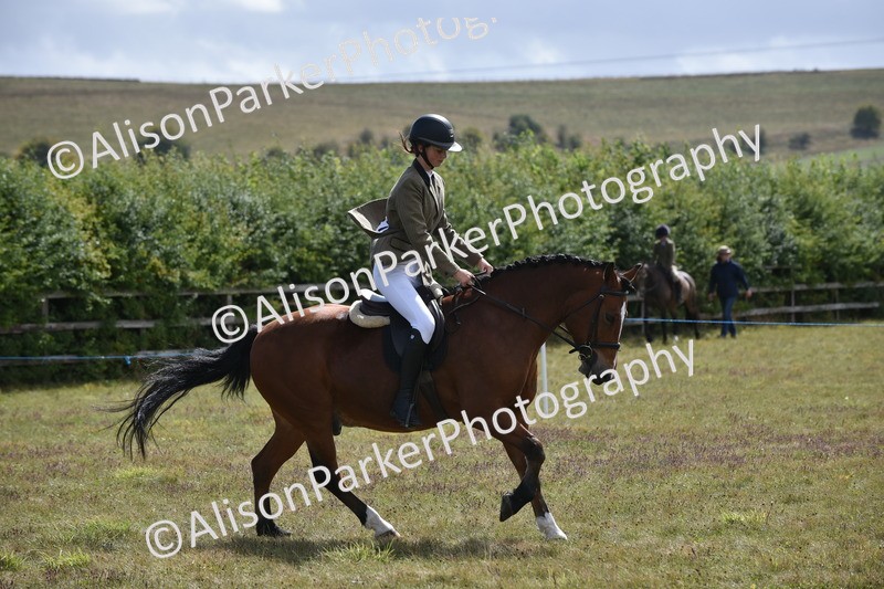 20250831-4014 - Class 12 - Working Hunter Pony 14.2hh and Under