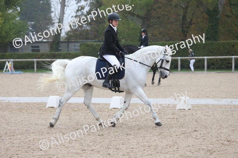 20251012-0412 - Class 3 - Novice 5