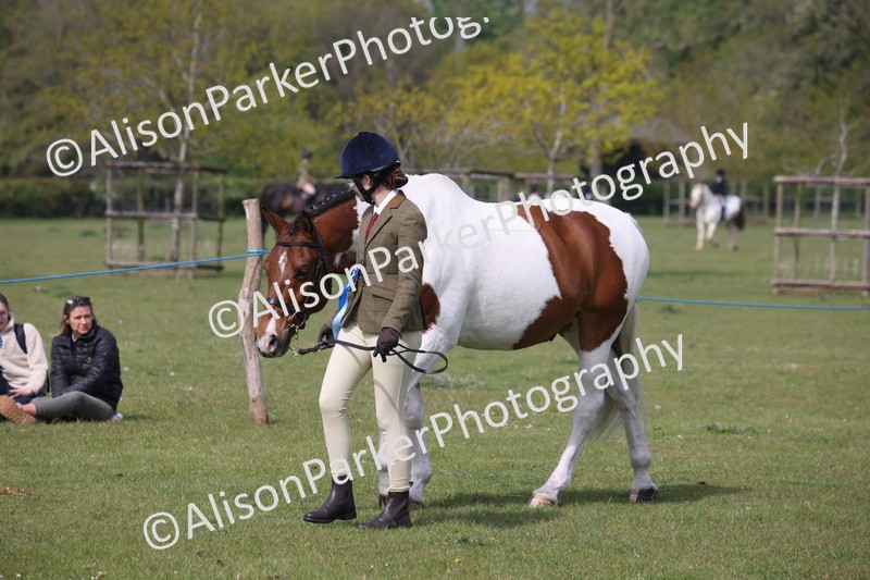 20260426-3112 - Class 25 - Best Turn Out