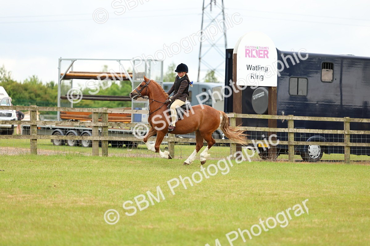 SBM_10344 - Class 44-45 - LIHS BSPS Open Nursery and Cradle Stakes