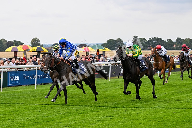 290826-Race 1-Trilby-5265 - Race 1 1.45pm Blink And You Miss It Sprint Handicap