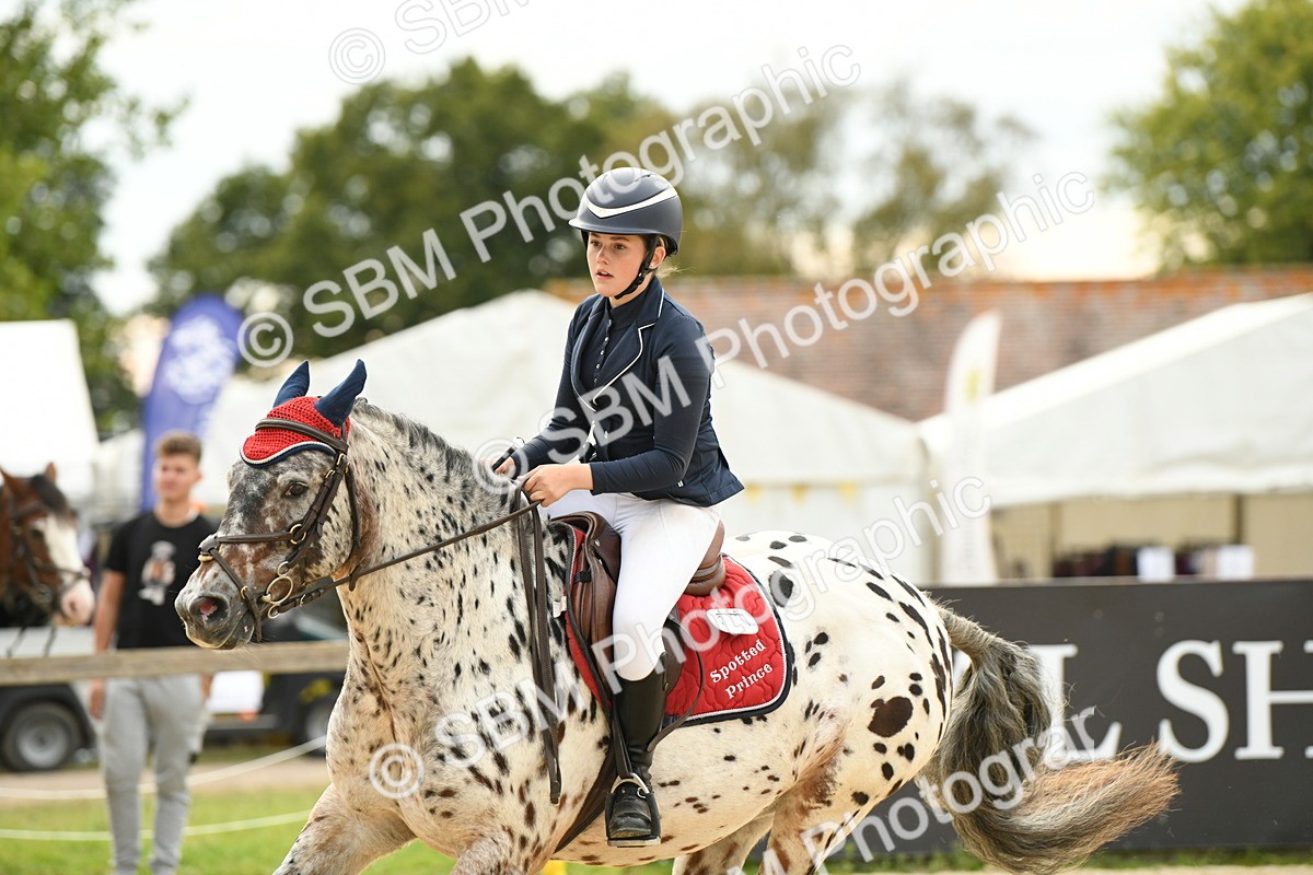 SBM_75671 - Supreme Championship
