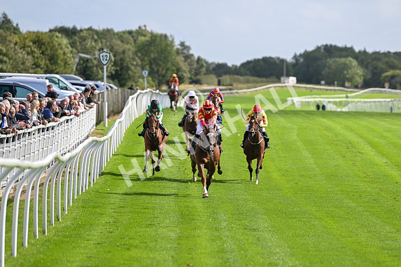 100924-Race 1-The Dancing Poet-9843 - Race 1