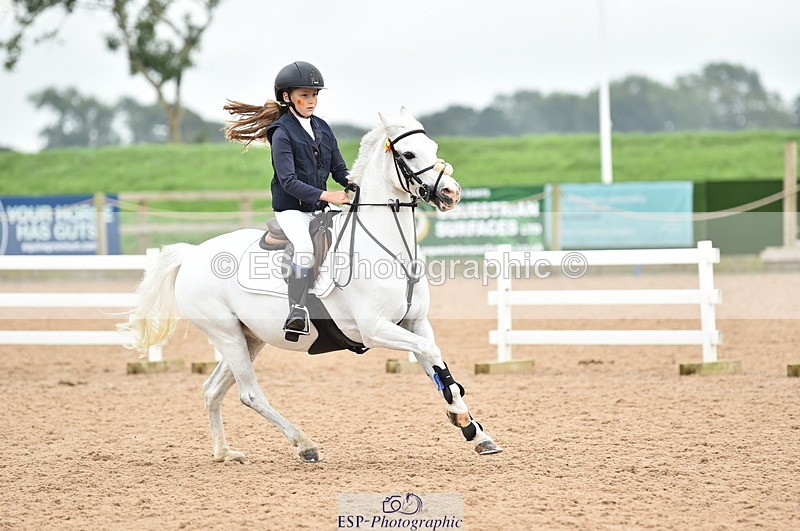 230902A-114812-00849 - Cls 2B Pony Small 80cm