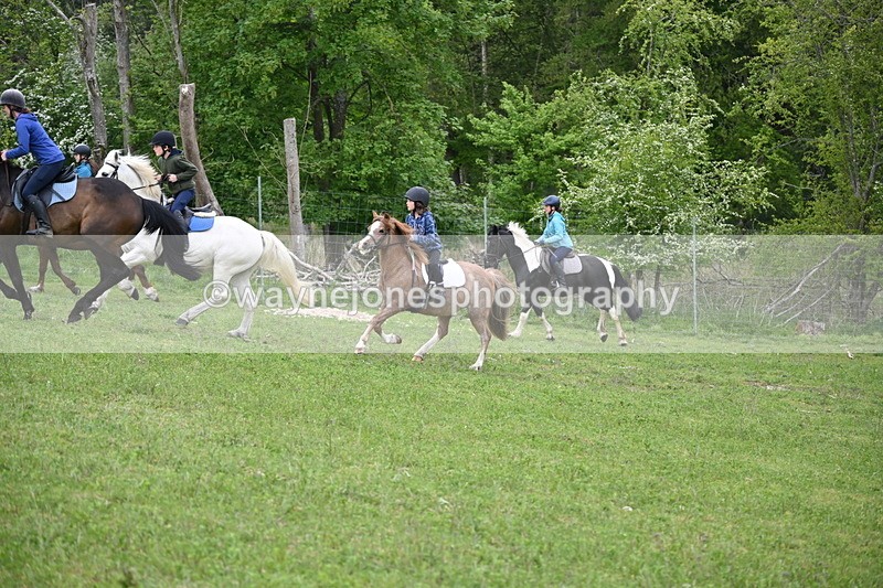 WJ6_3046 - A Camera