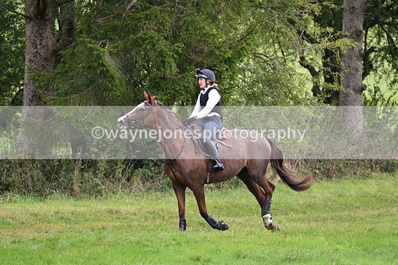 WJ7_8283 - Time 14:11 to 14:30