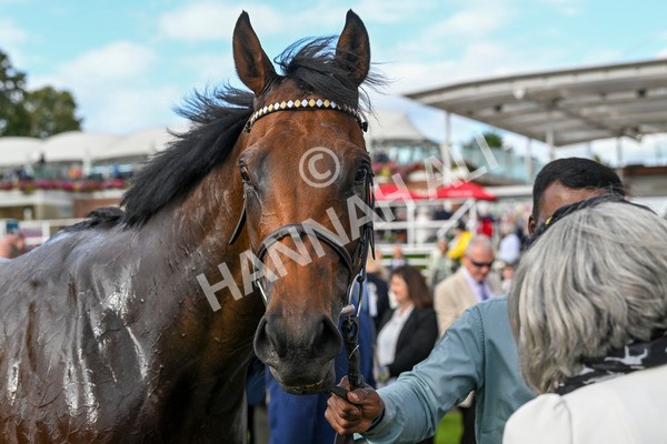 230824-Race 7-Treasure Time-0287 - Race 7 5.20pm Sky Bet Mile Handicap