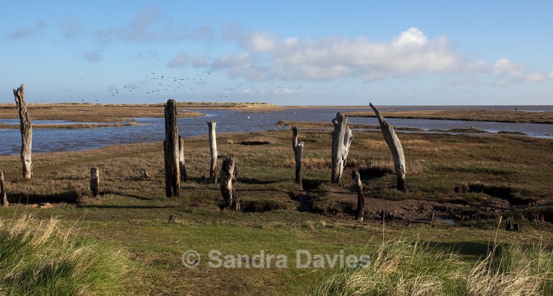 Norfolk - Landscapes
