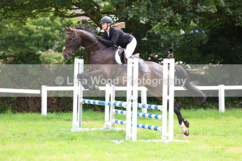 3E7A6909 - Class 5: Senior British Novice/90cm open