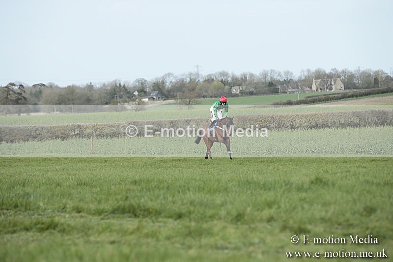 PtP 230319 359 - VWH Hunt Siddington Point-to-Point Racing 23/03/19