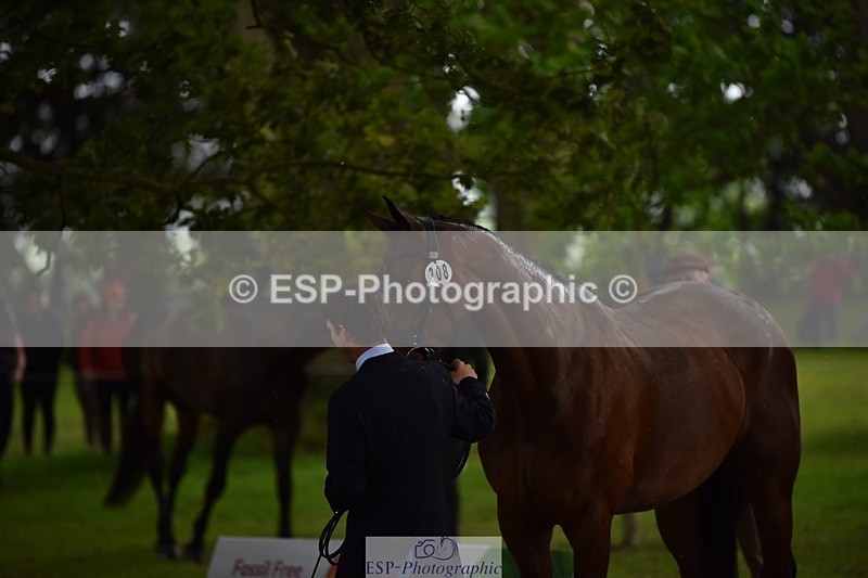 240522-151218-00163 - 308-COOLEY_ANYTHING_YOU_LIKE-Harry_Meade