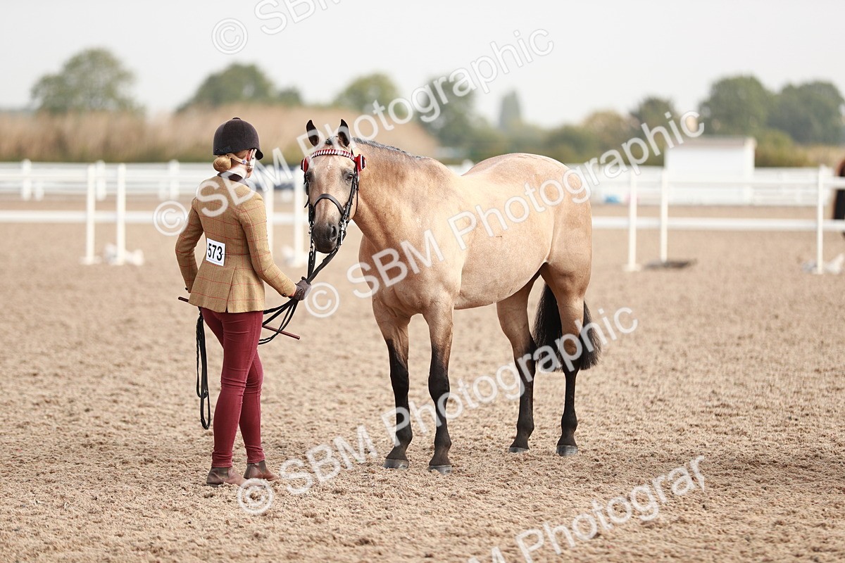SBM_10567_Class 204 - Young Handler 11 to 16 Years - Cart - Laura