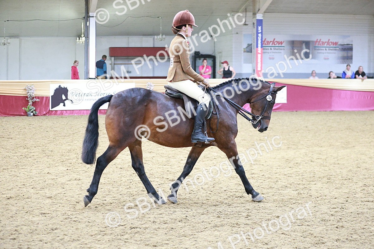 SBM_08231 - Class 11R - Regional Ridden Veteran