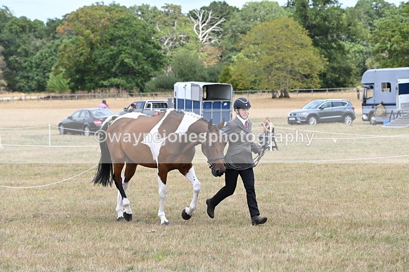 WJ6_5986 - Class 19 In-hand Veterans (Uploaded correct folder)