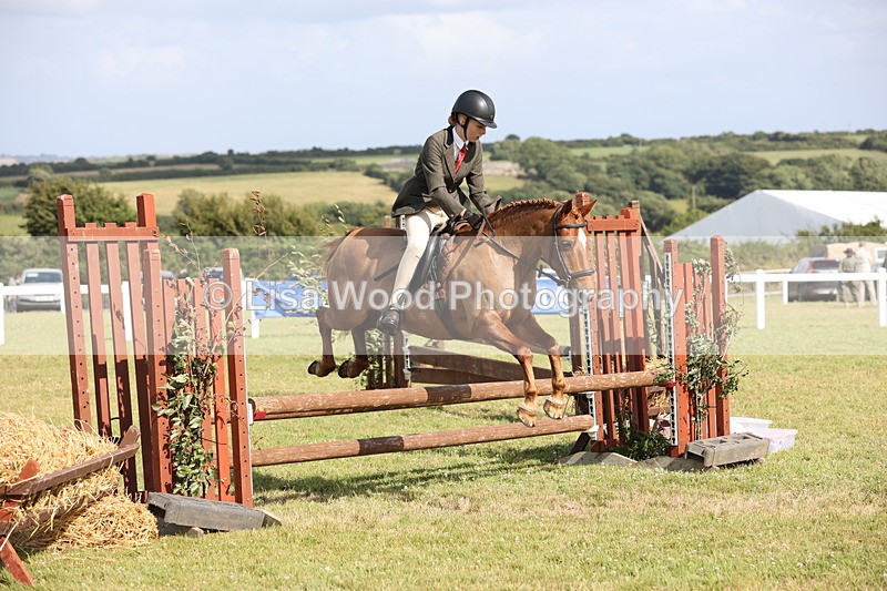 JPP_2735 - Class 20: Working Hunter 70cm