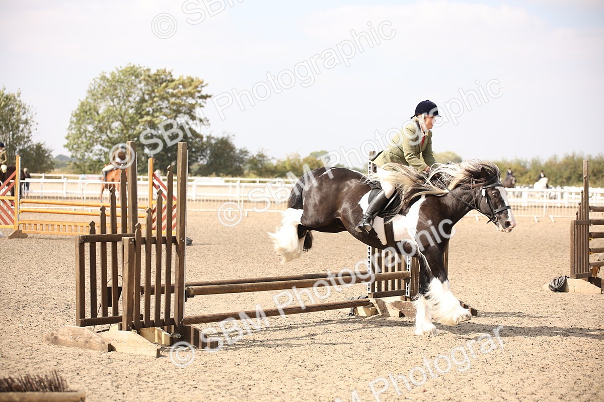 SBM_14341 - Class 407b - Working Veteran 60cm (20+)