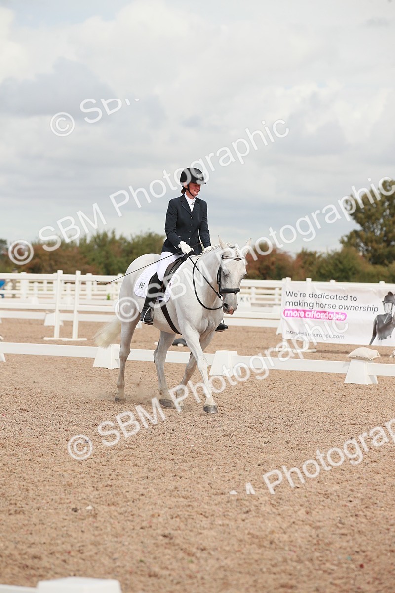 SBM_03890 - Class 31 - Prelim 1