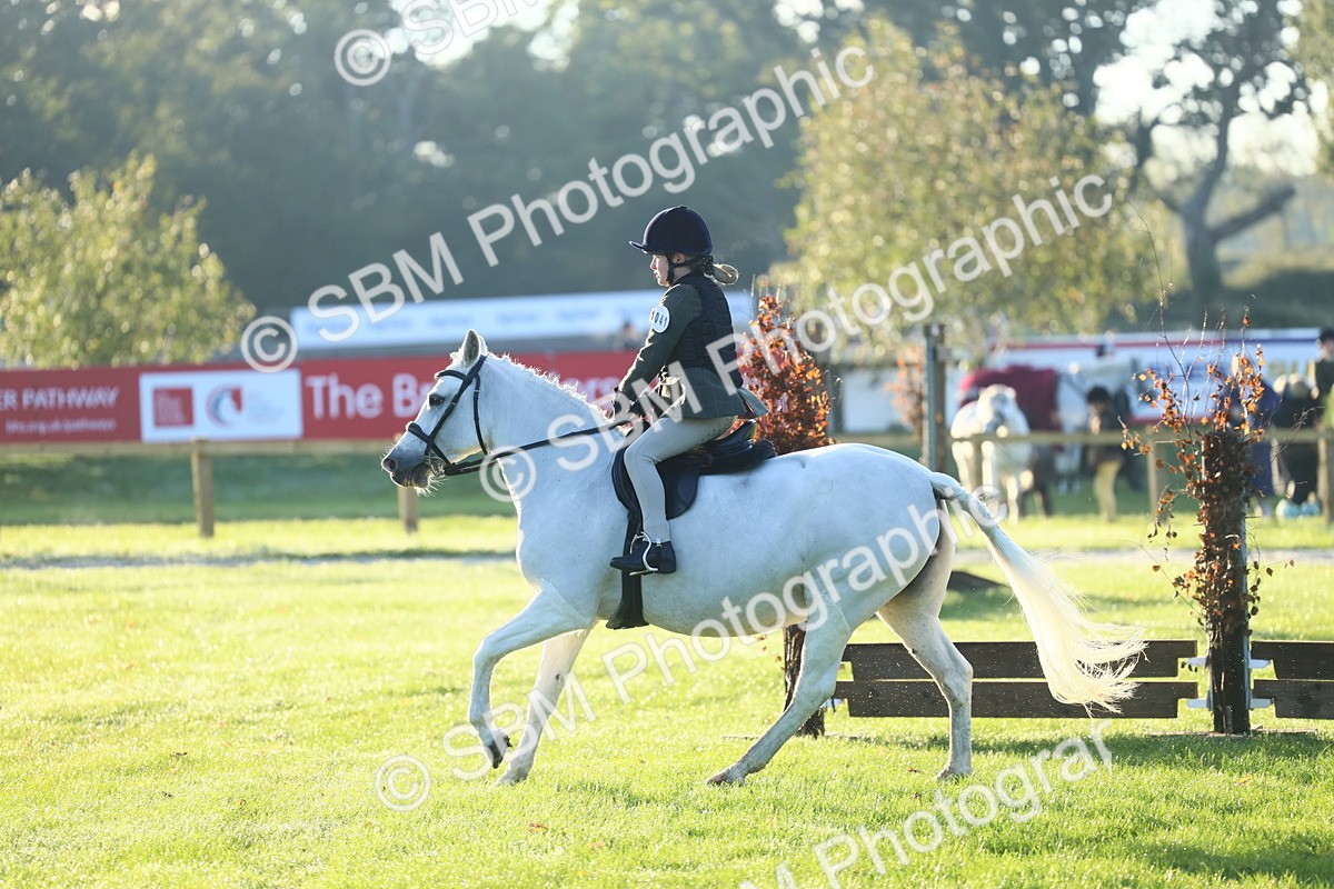 SBM_31707 - S28 - Nursery Stakes Working Hunter Pony