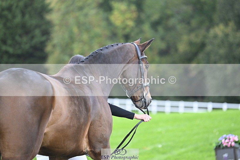 251025A-090232-17670 - A-015-Jess.Rimmer