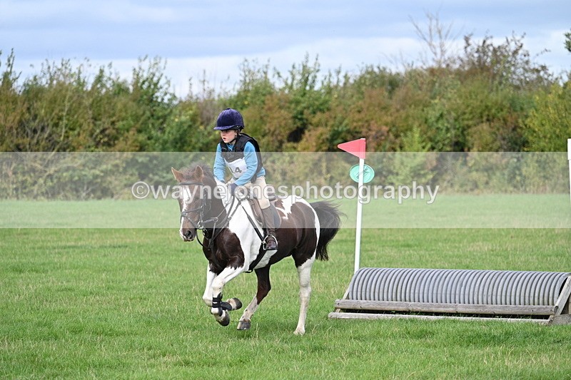 WJ7_8408 - 60cm Pairs