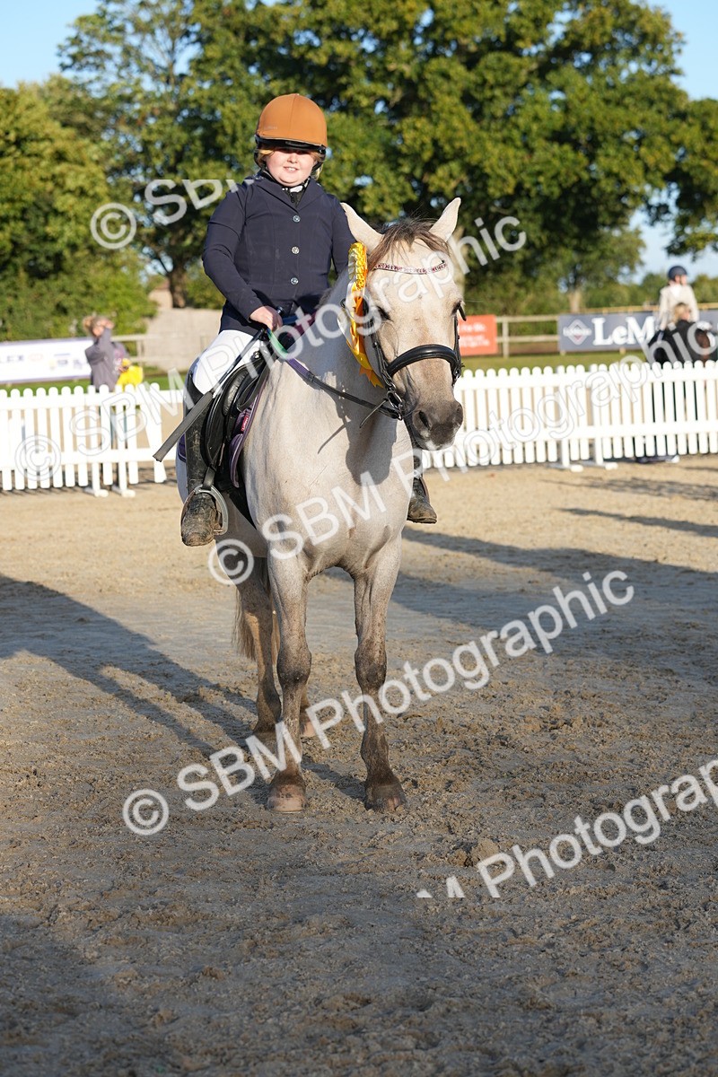 SBM_54061 - J8 - Junior Pony 65cm Championship