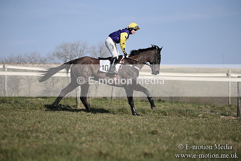 PtP 240218 212 - Vine & Craven Hunt Point-to-Point Barbury racecourse 24/02/18