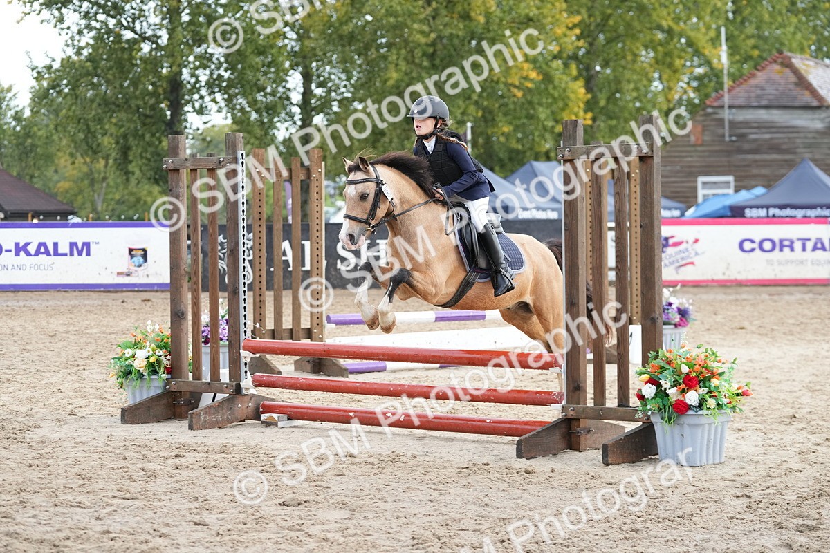 SBM_32352 - J5 - Junior Pony 50cm Championship