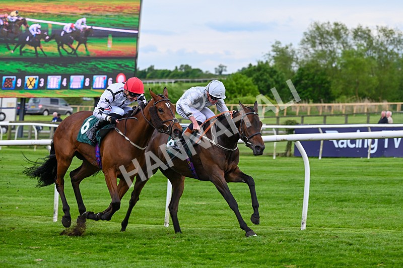 210526-Race 7-Velvet Rhythm-5057 - Race 7 17.27pm Racing Again 30th May Fillies' Handicap