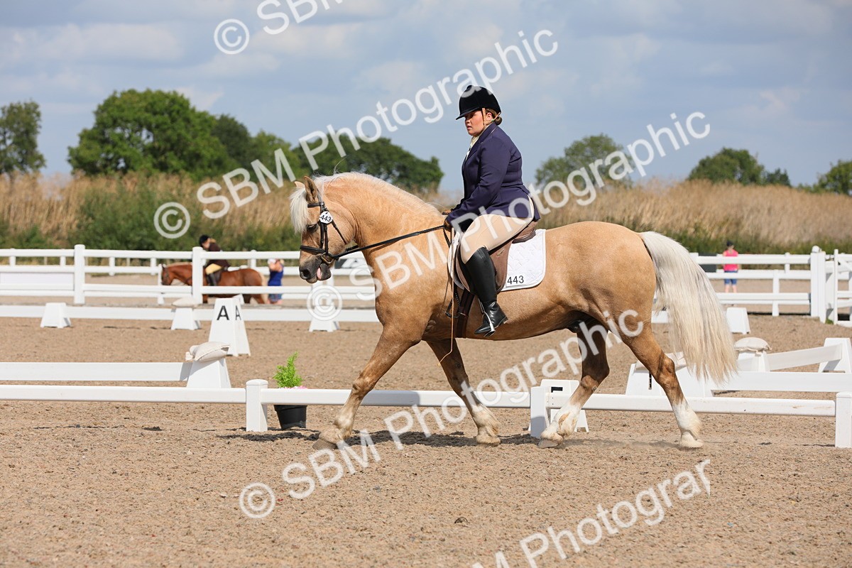 SBM_04018 - Class 31 Prelim 1