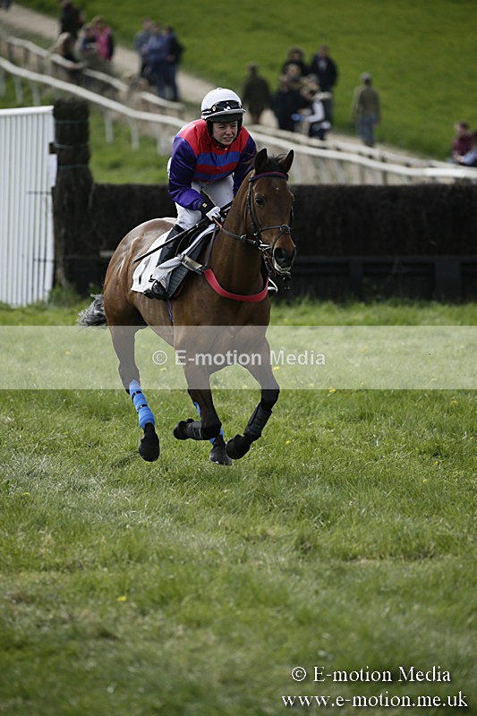 PtP 170417 424 - Old Berks Point-to-Point Lockinge 17/04/17
