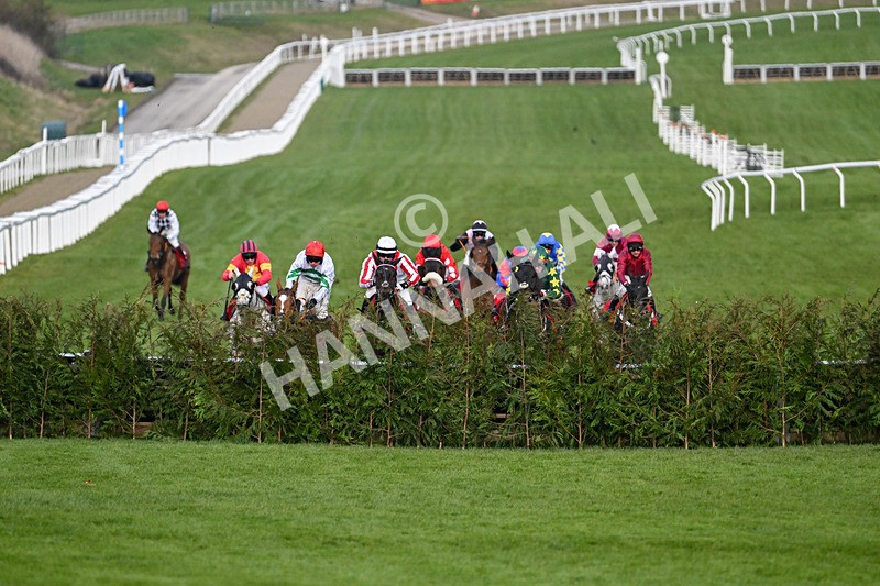 120325-Race 4-Stumptown-6943 - 12th March