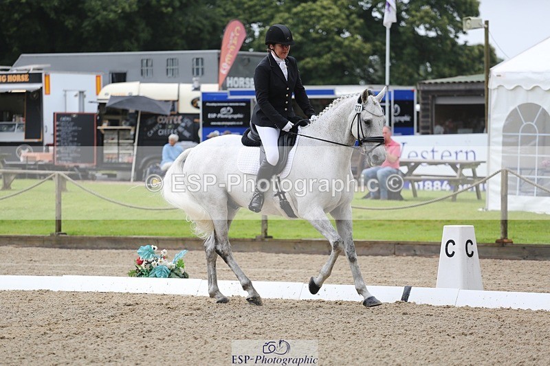 240720-143656-06223 - 277-Anita_Wilcox-Casper_Rebel