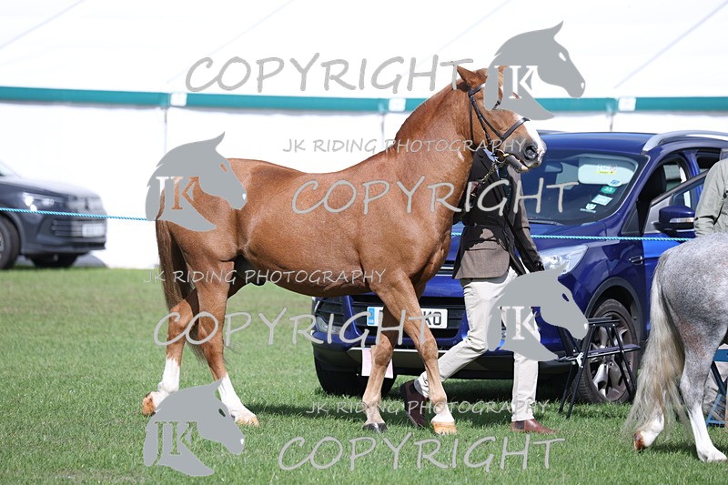 APP_2746 - Class 10a/b M&M in hand