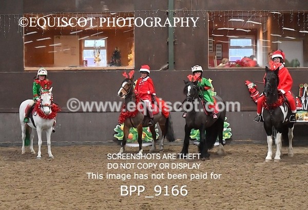 BPP_9166 - CLASS 3 50CM-70CM Pairs Show Jumping