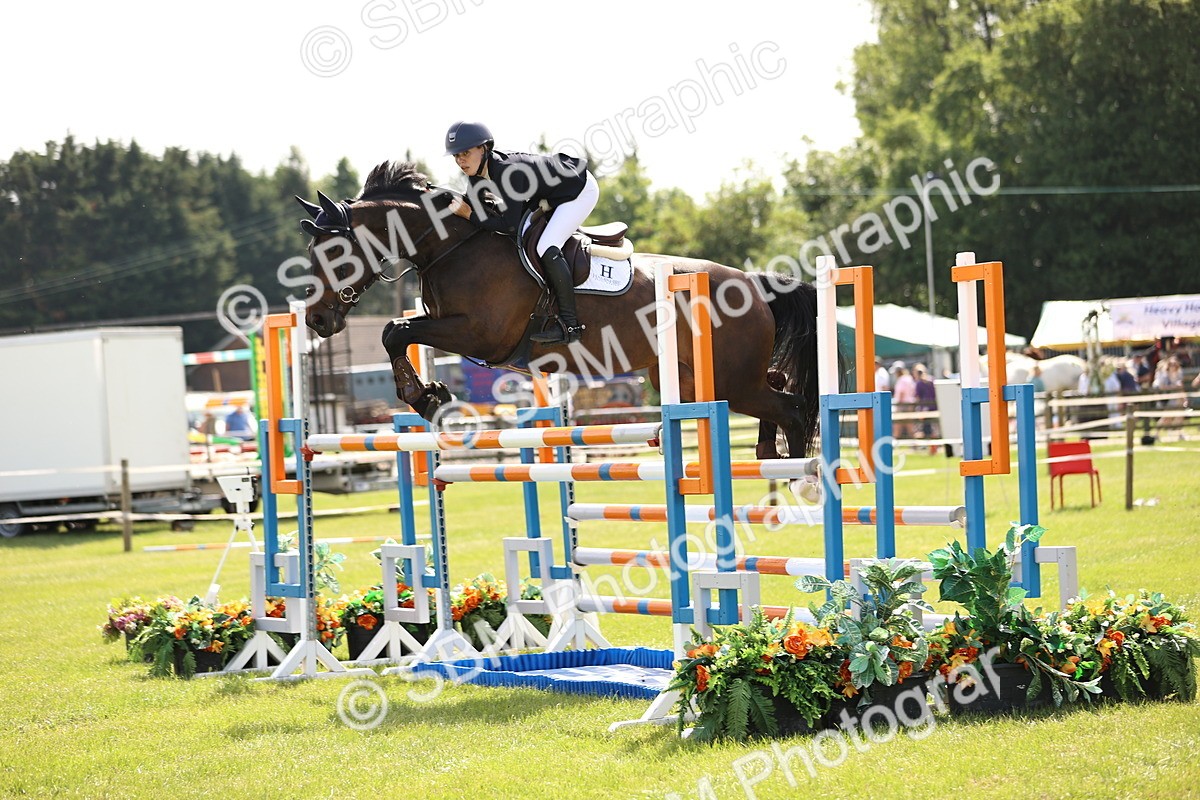 SBM_03137 - Class 201 - British Horse Feedds Speedi Beet HOYS Grade C