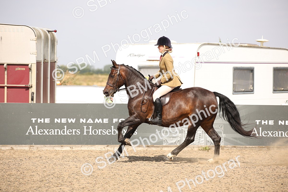 SBM_15053 - Class 408a - Working Veteran 70cm (15-19