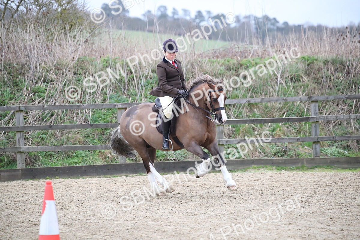 SBM_006248 - Class 10-13 - RIHS Small Large Breeds