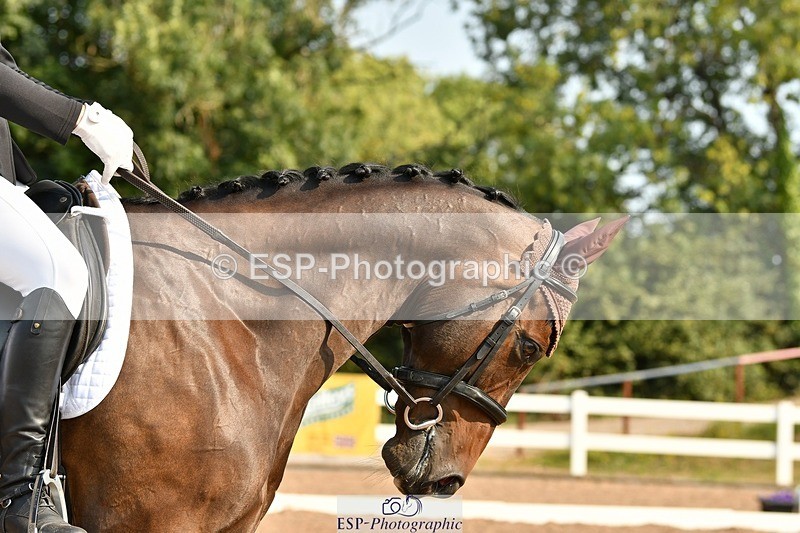 250817-100007-07709 - 062-Jayne.TownsendHutchinson