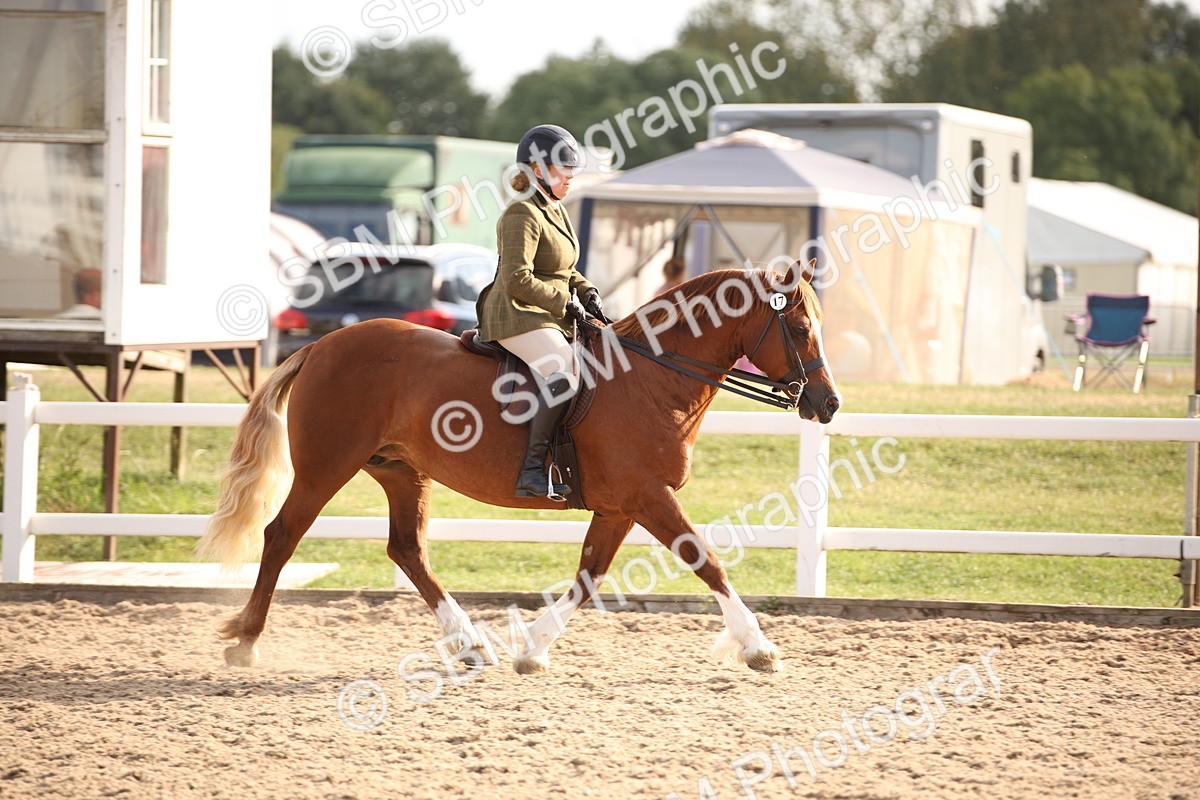 SBM_08823 - Class 12R Regional Ridden Pre-Vet