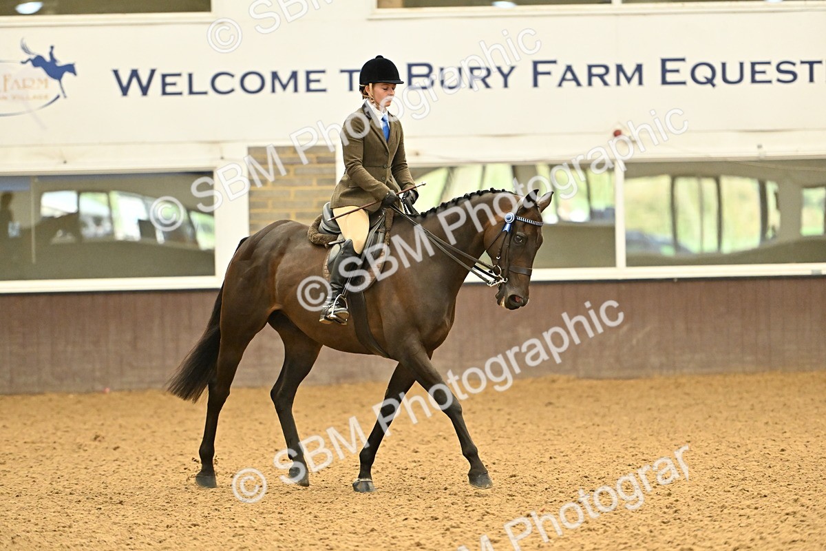 SBM_002005 - Class 24 - BSHA Ridden Racehorse to Show Horse