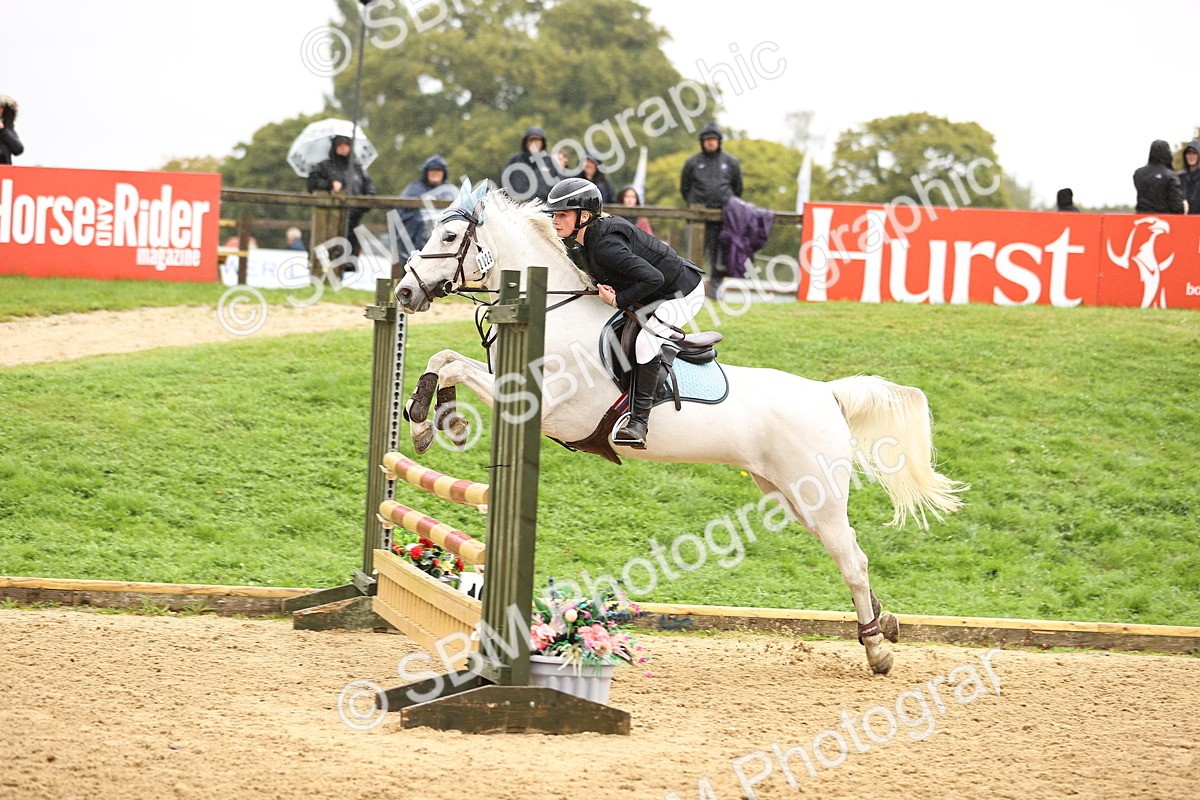 SBM_70039 - Supreme Championship 80cm 85cm
